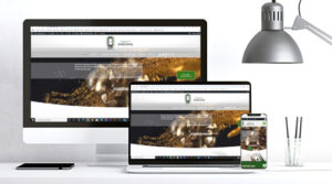 web design 1